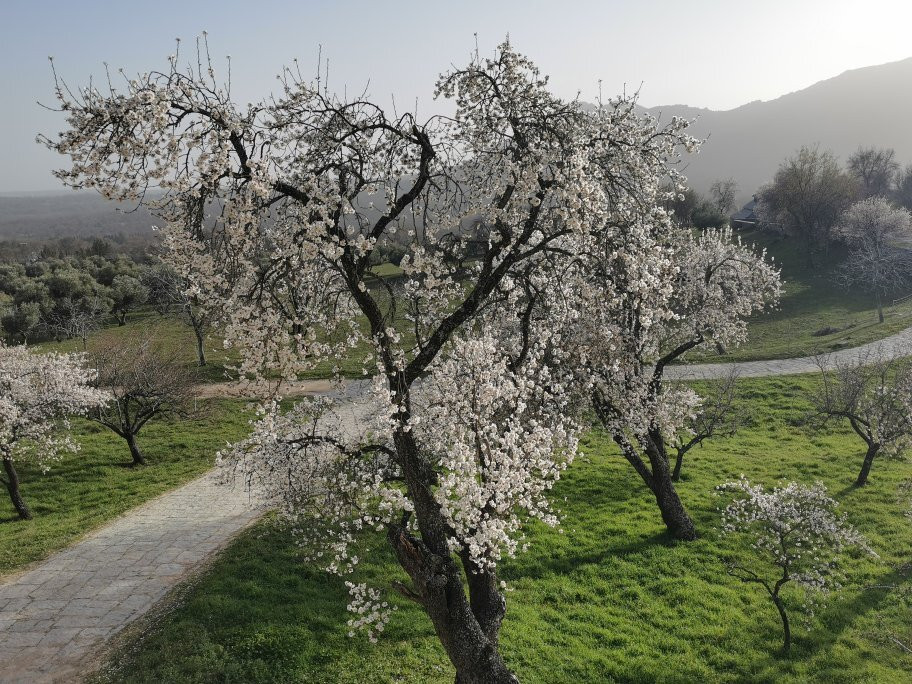 Jardín de los Frailes景点图片