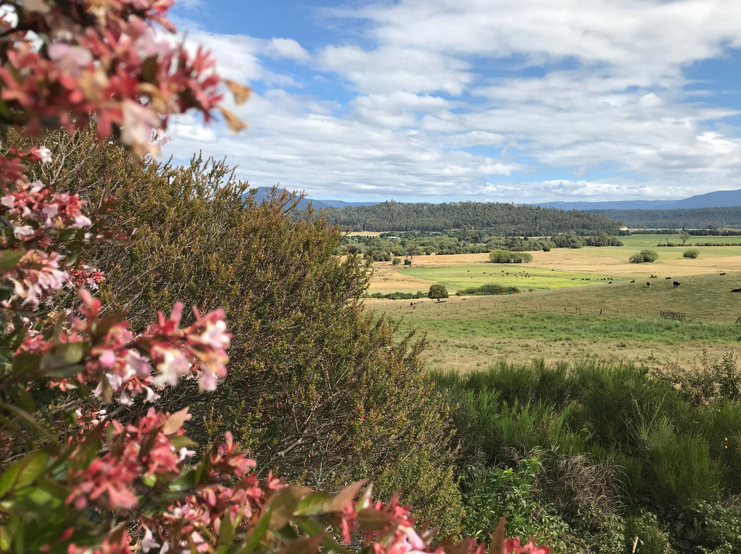 Lions Park Lookout-德洛兰恩必去景点