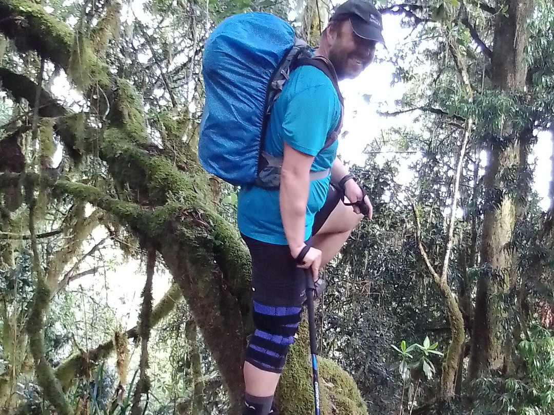 Climb Mount Kilimanjaro – #1 Kilimanjaro Tours for 2025 & 2026-莫西必去景点