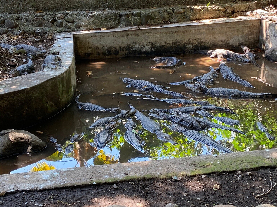 VB Tours-Tapachula必去景点