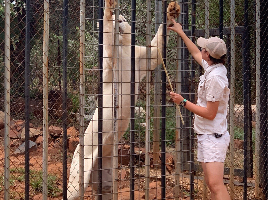 Akwaaba Predator Park-鲁斯登堡必去景点