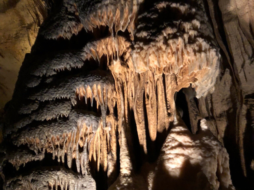 Grottes d'Osselle景点图片