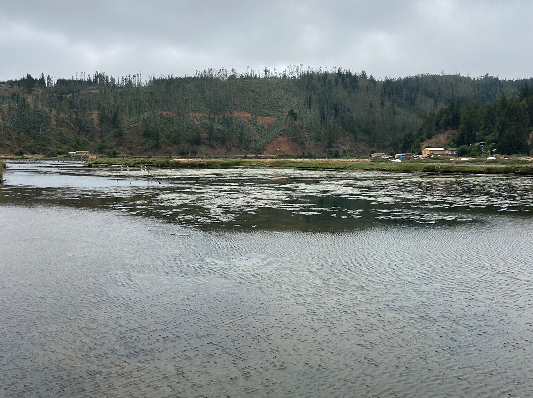 Salinas de Cahuil-皮钦勒姆必去景点