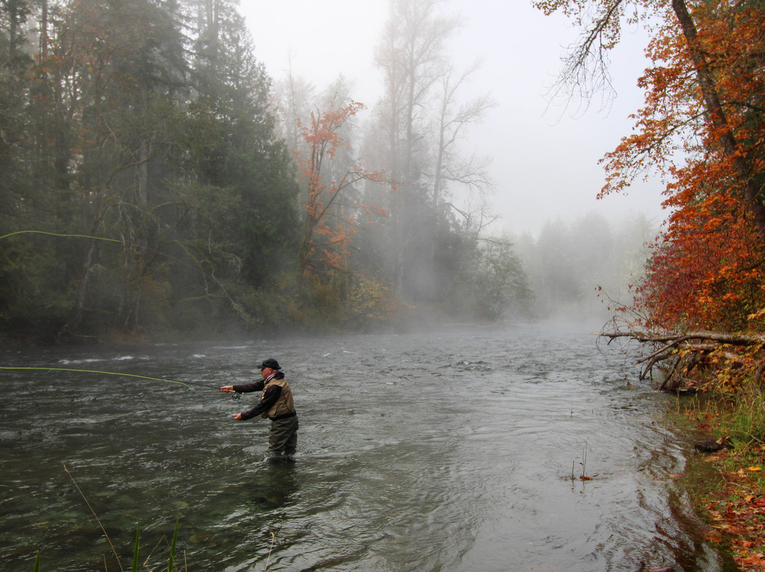 Cowichan River Lodge主图