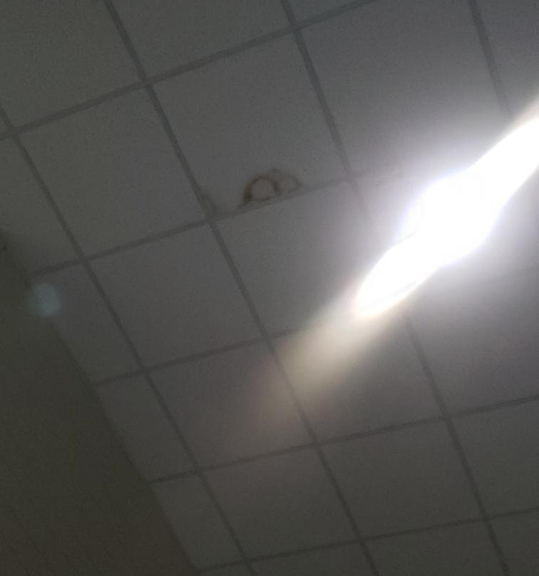 AmericInn by Wyndham Prairie Du Chien主图