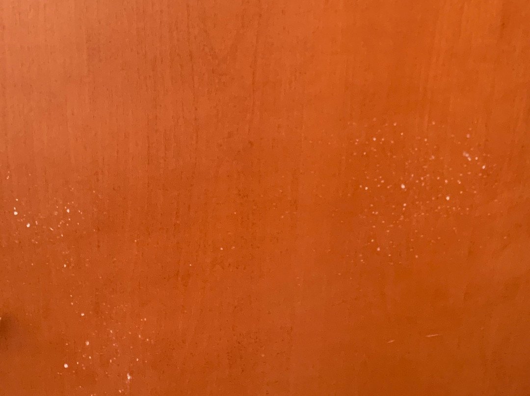 Holiday Inn Express & Suites Orangeburg By IHG主图