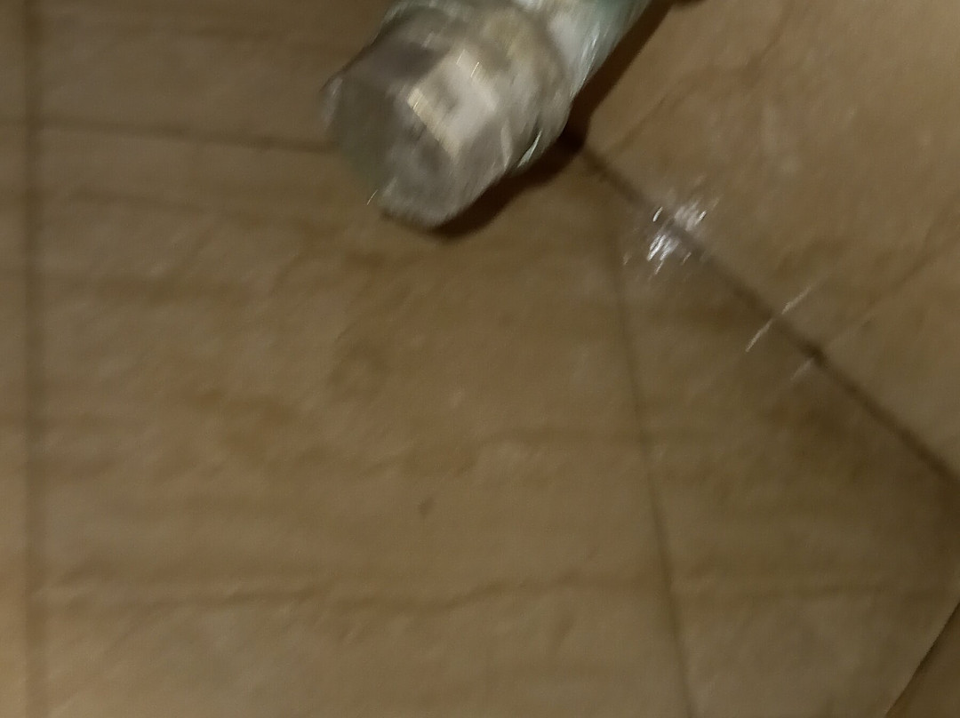 Hotel Vaishnavi主图