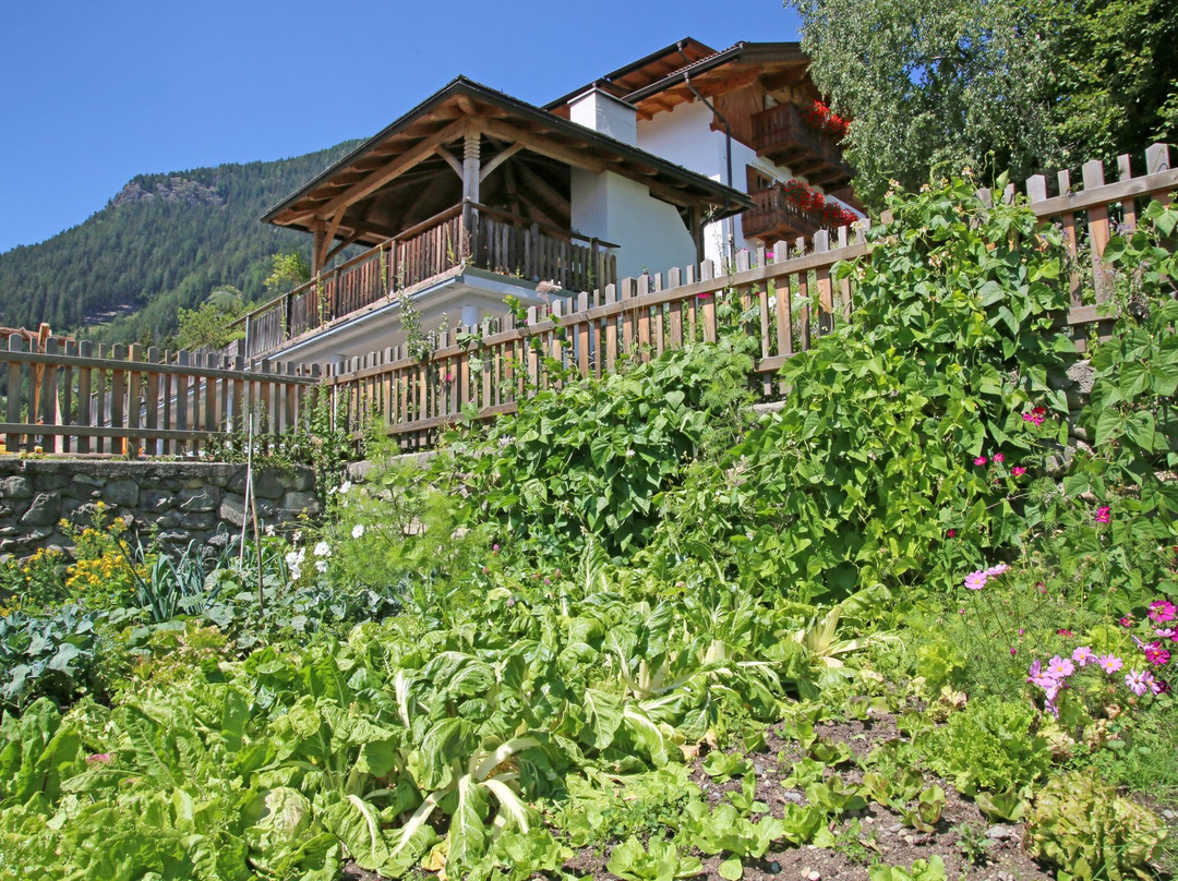 Gasthof Hanserhof主图