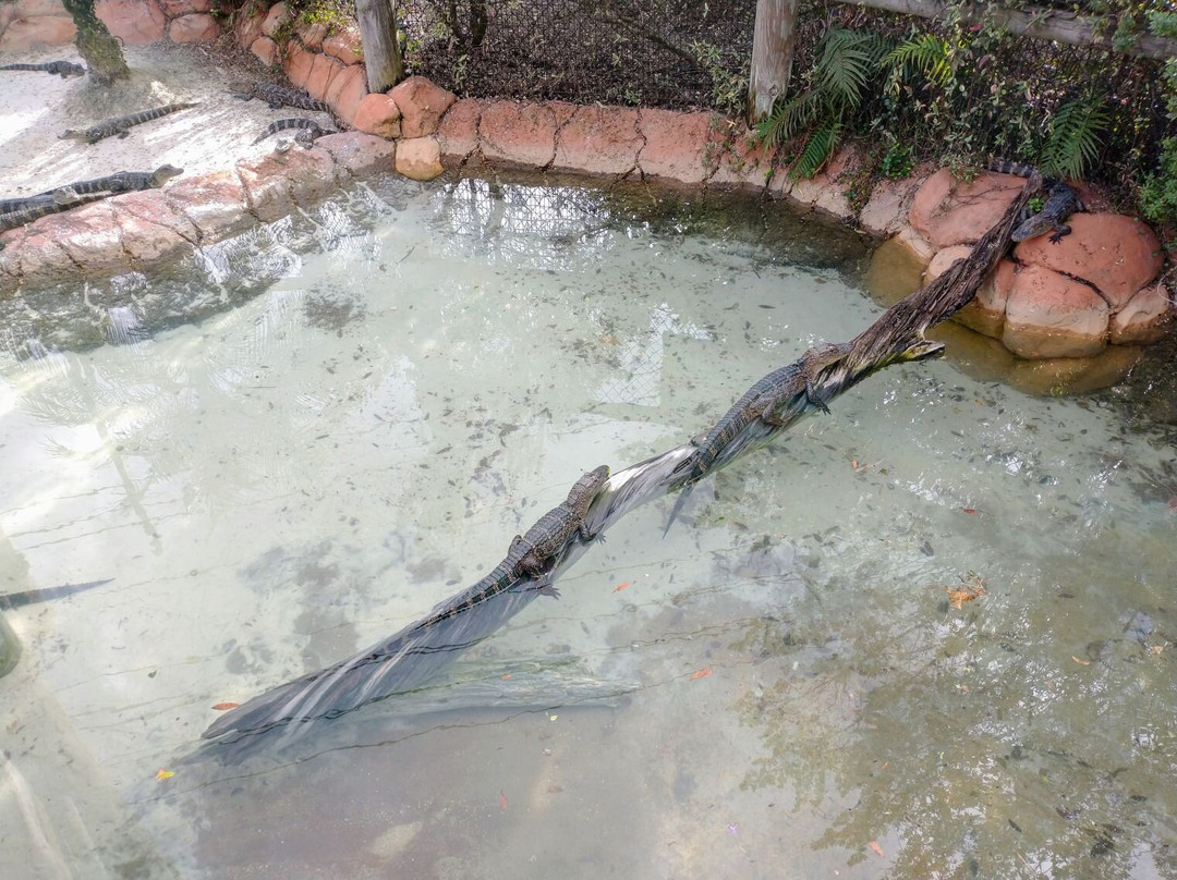 Congo River Golf-阿尔塔蒙特斯普林斯必去景点