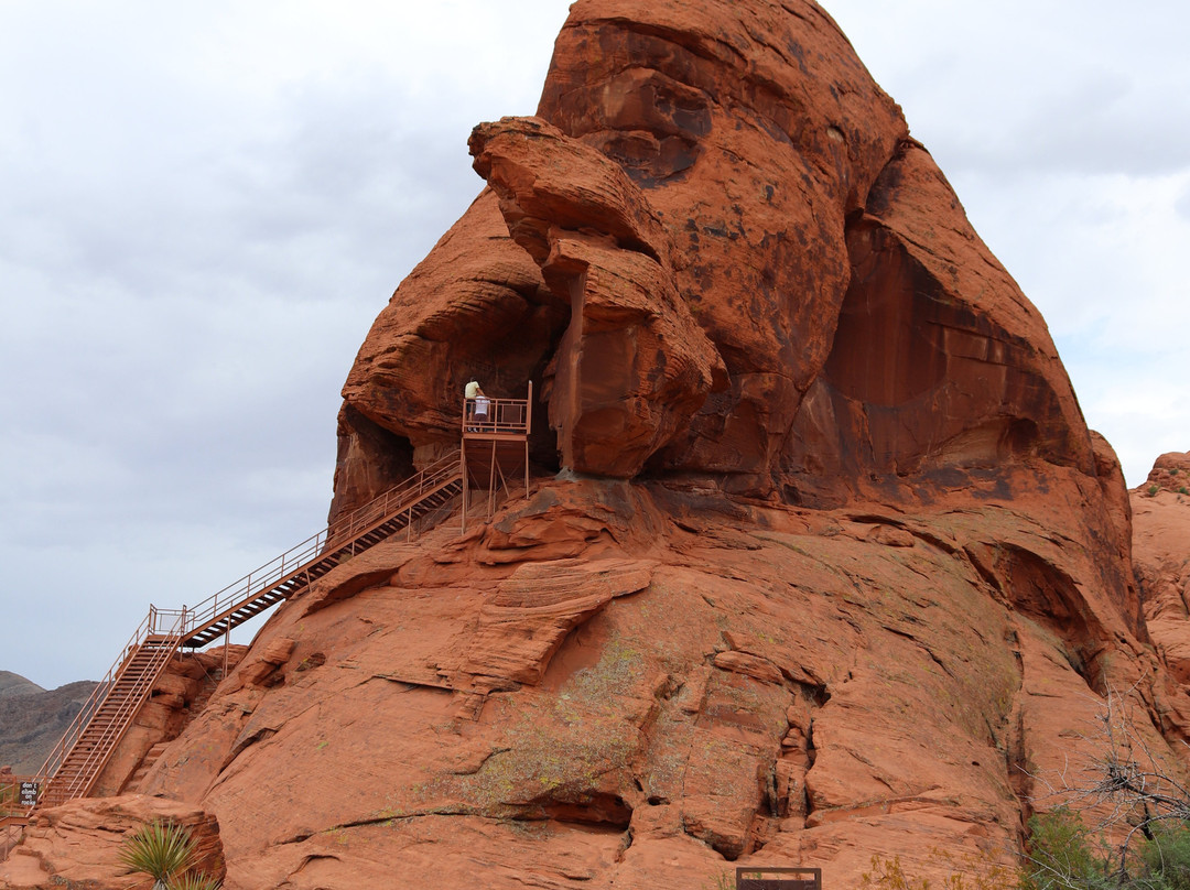 Atlatl Rock-欧弗顿必去景点