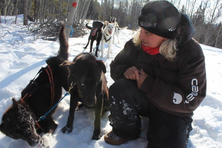Atlin Backcountry Adventures-Atlin必去景点