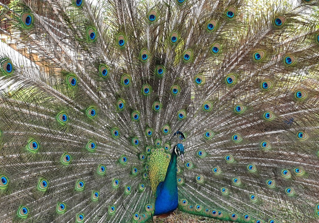 Villa Pinares de Mayari主图