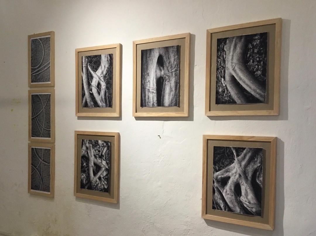 Andrew Xenios Photography Gallery-梅里达必去景点