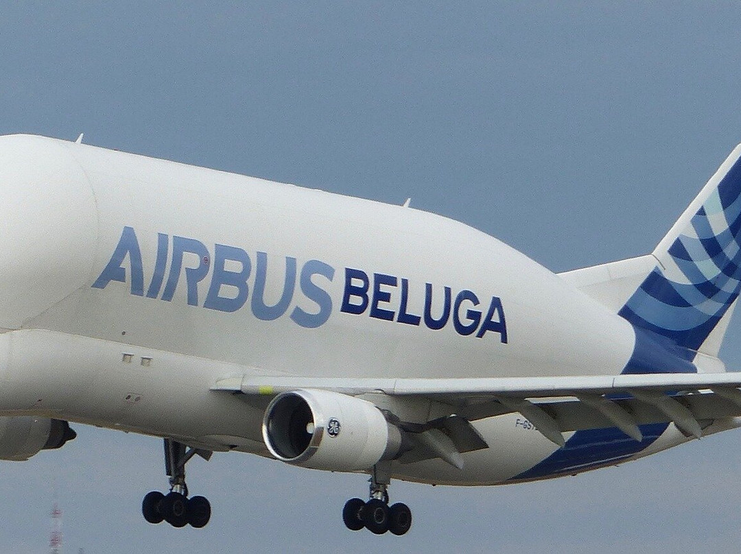 Kyriad Toulouse Blagnac Aéroport主图