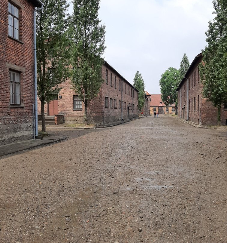 Auschwitz-Krakow Tours-克拉科夫必去景点