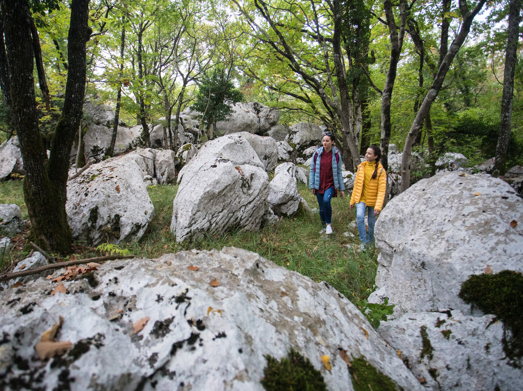Karst Living Museum-Sezana必去景点