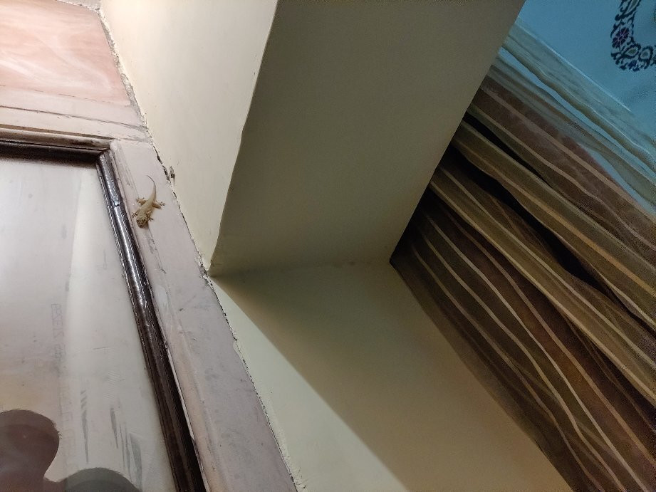 Aaram Baagh Resort主图