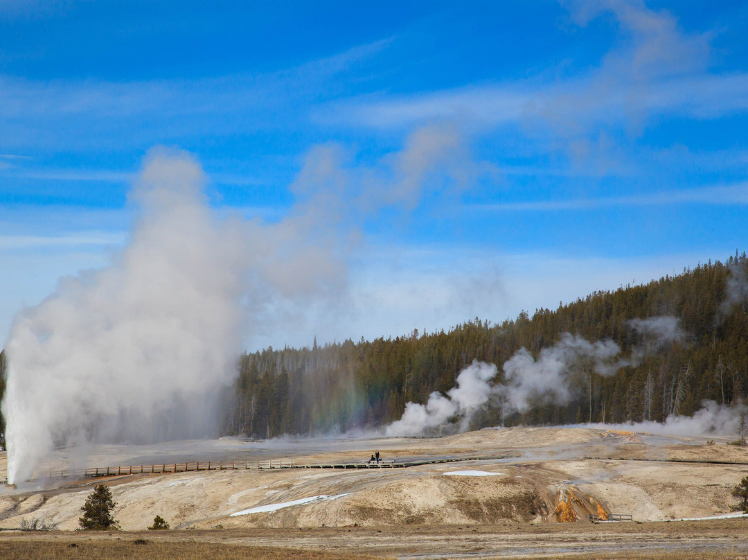 Yellowstone Safari Company景点图片