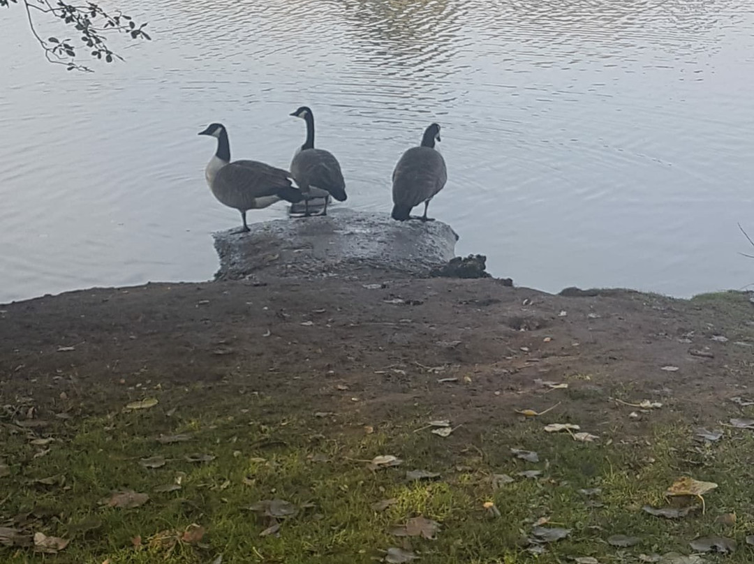 Nantwich Lake-Nantwich必去景点