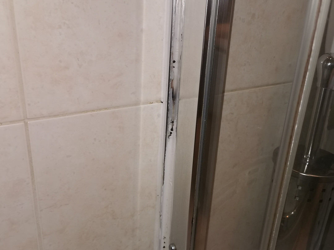 Solway Lodge Hotel主图