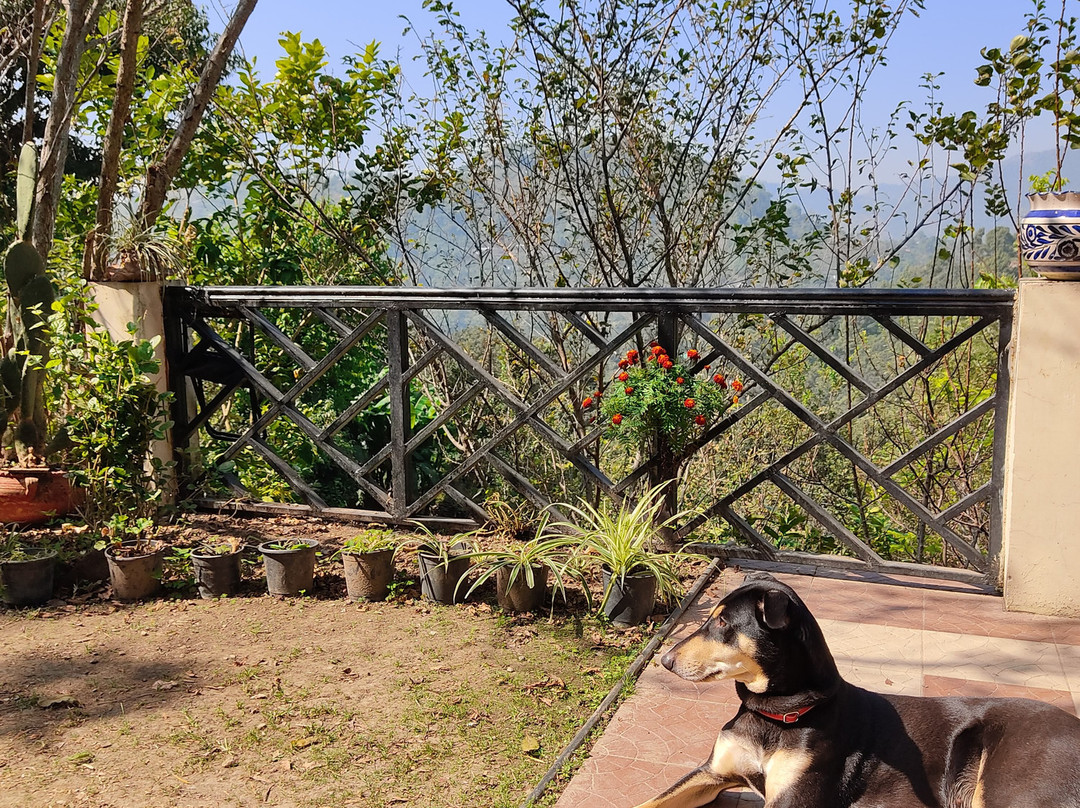 Firdaus Naukuchiatal主图