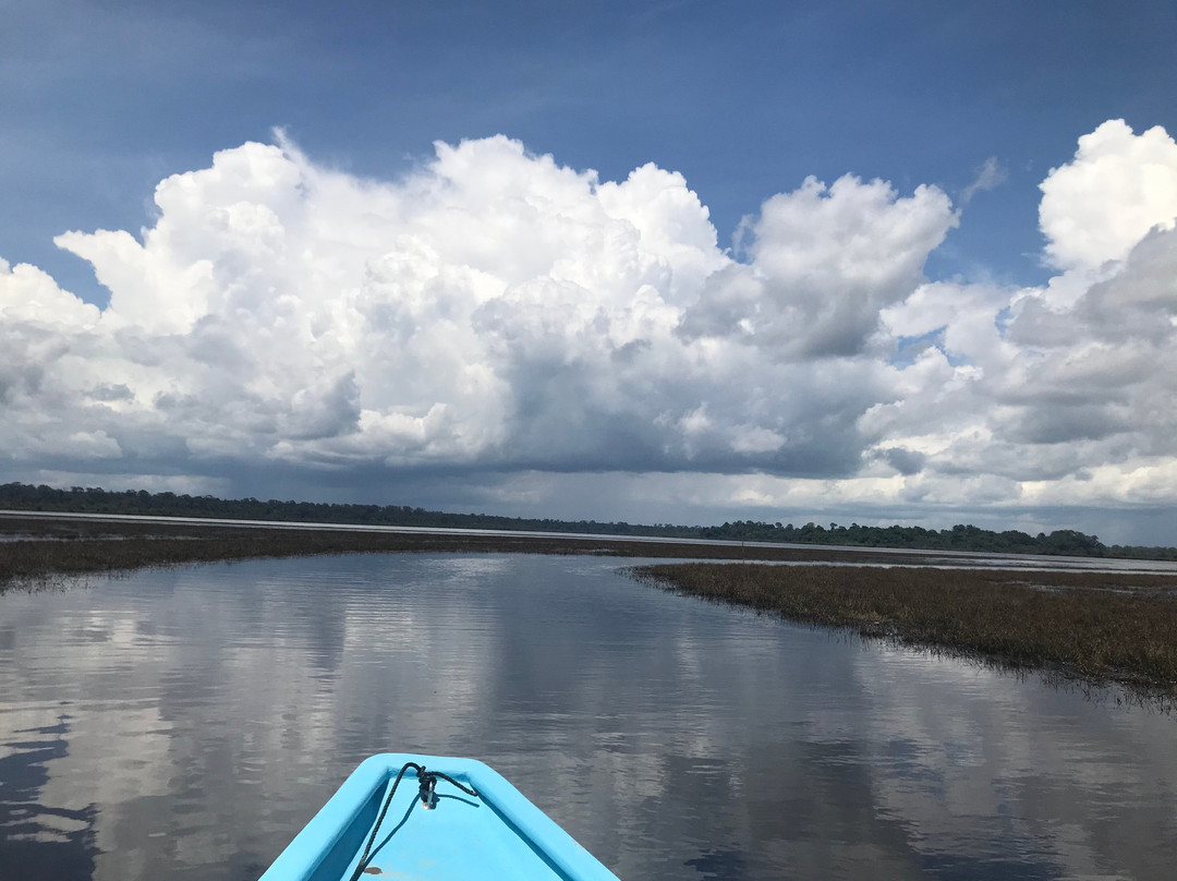 Loagan Bunut National Park-美里必去景点