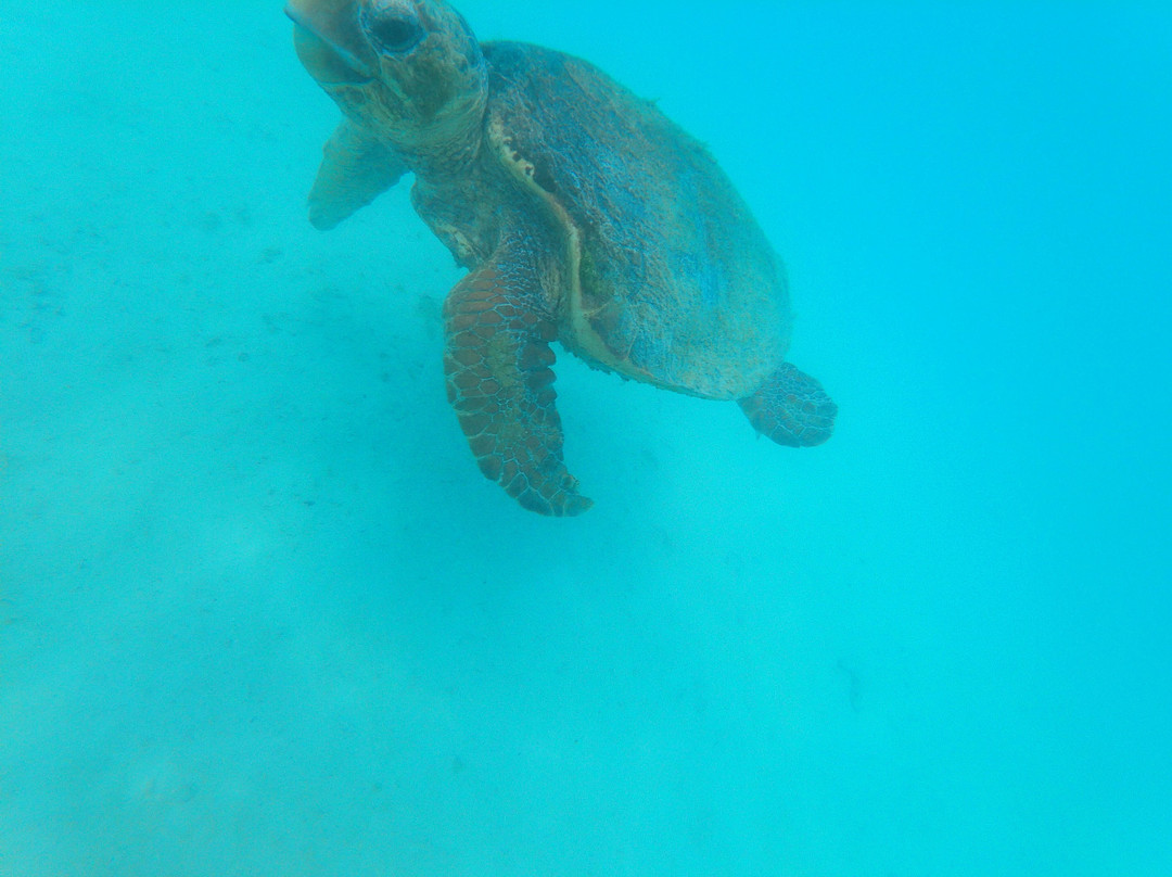 Oriana Nautique-Ile Des Pins必去景点