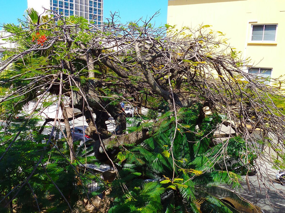 French Colonial Houses Guided Tours-努美阿必去景点