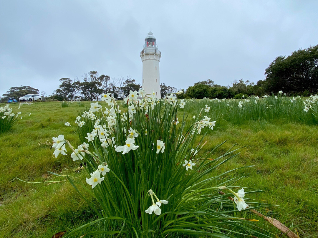 Table Cape Lighthouse Tours-温耶德必去景点