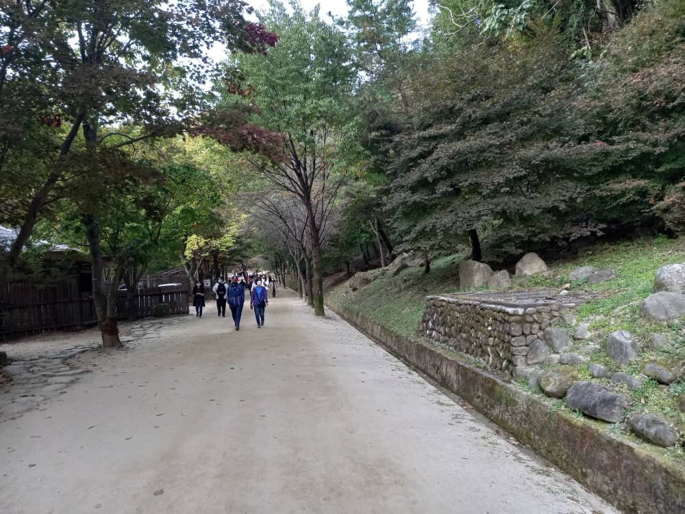 Mungyeongsaejae Open Set-闻庆市必去景点