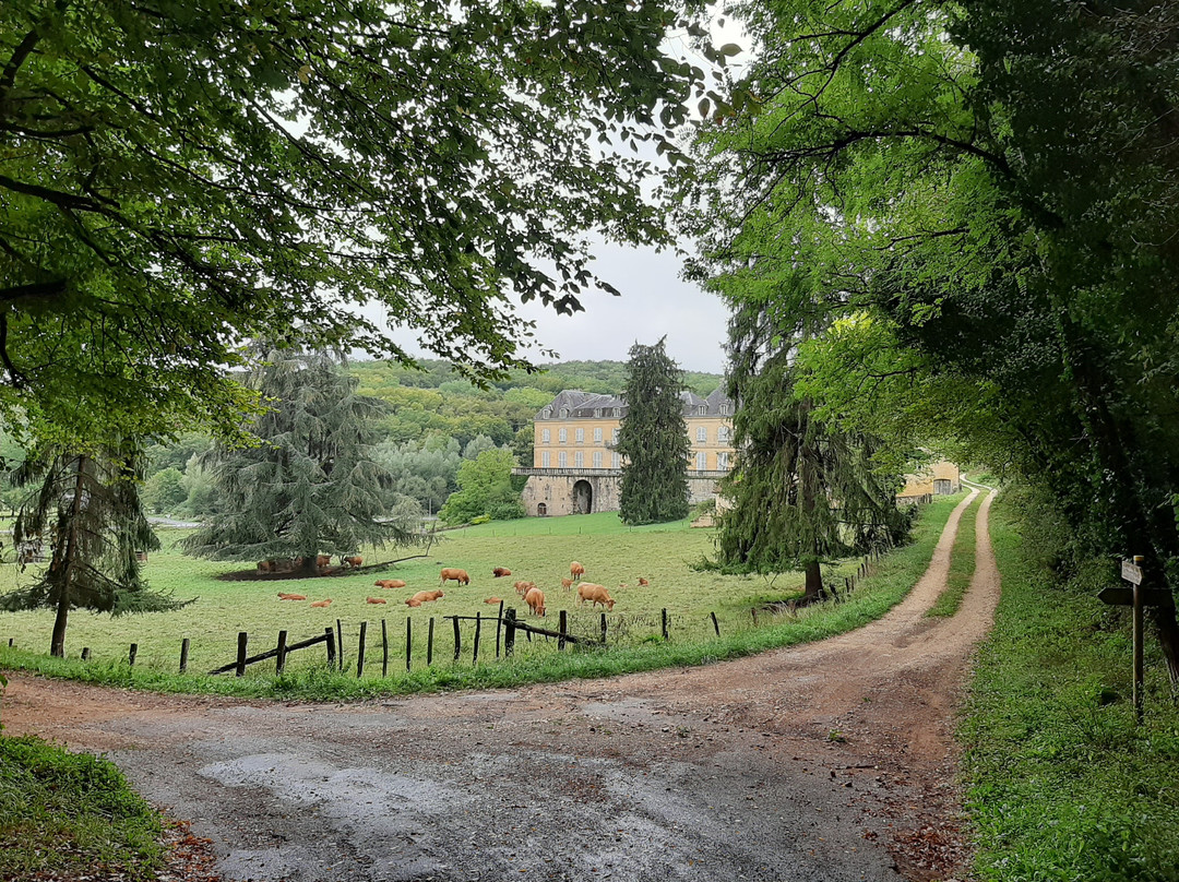 Chateau du Roc景点图片