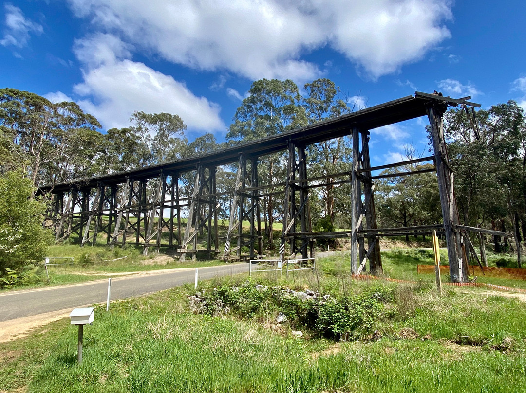 Wairewa Trestle Rail Bridge-Nowa Nowa必去景点