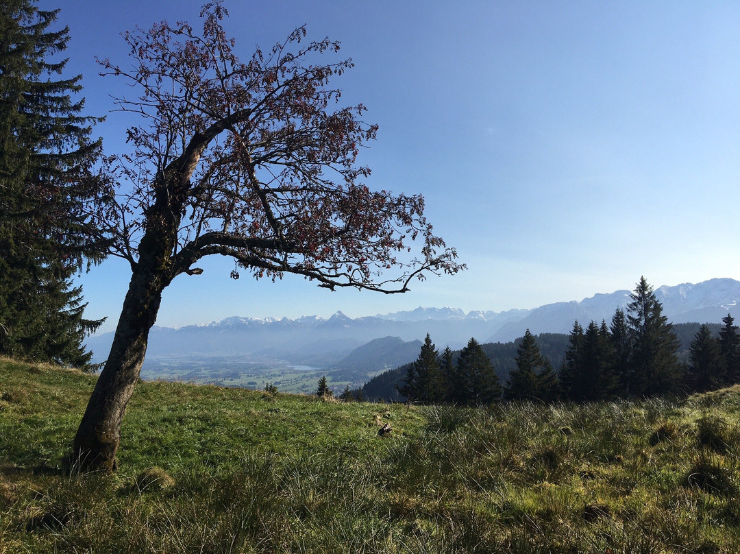 Alpspitzbahn景点图片