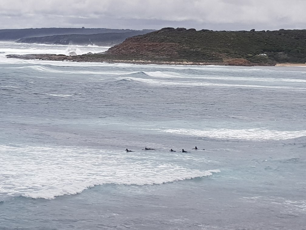 Margaret River Surfing Academy景点图片