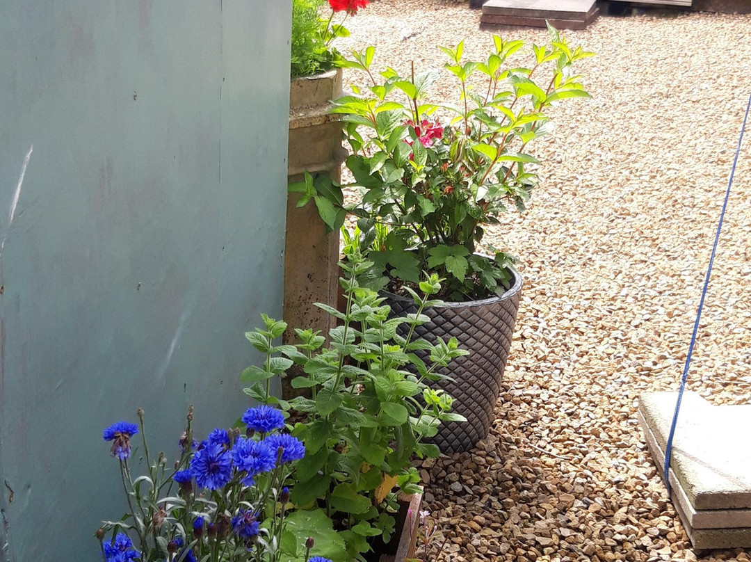 Hadrians Holidays主图