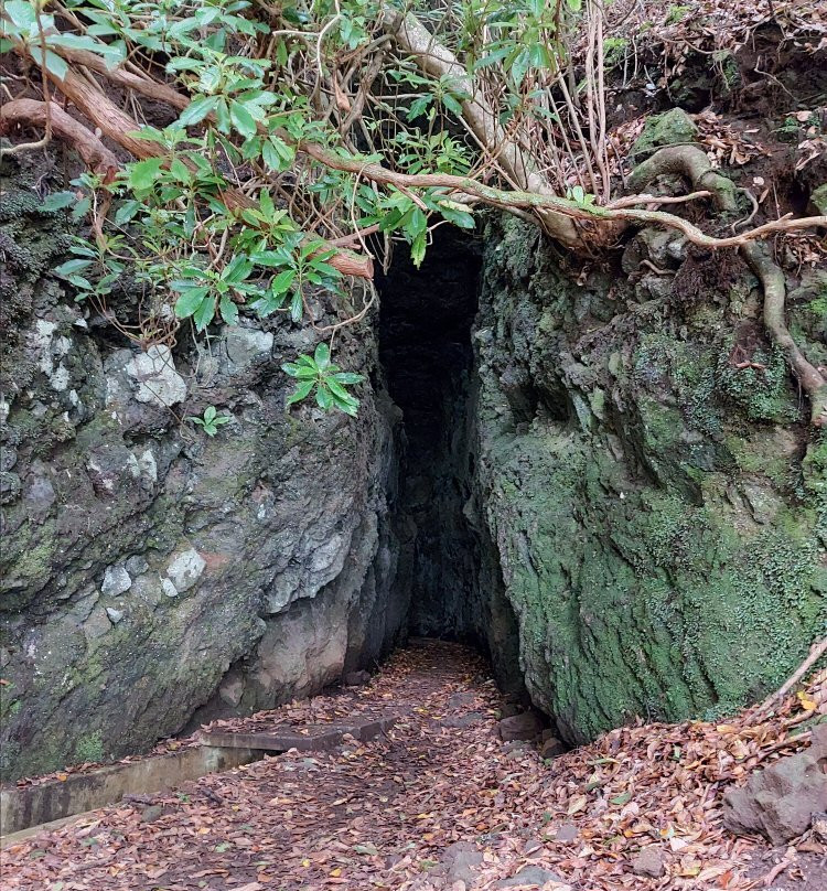 Levada do Furado-Santana必去景点