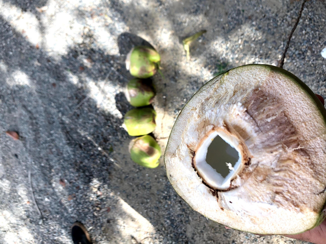 Tony Tours by AMGMT  SHORT  EXCURSIONS-喀巴里特必去景点