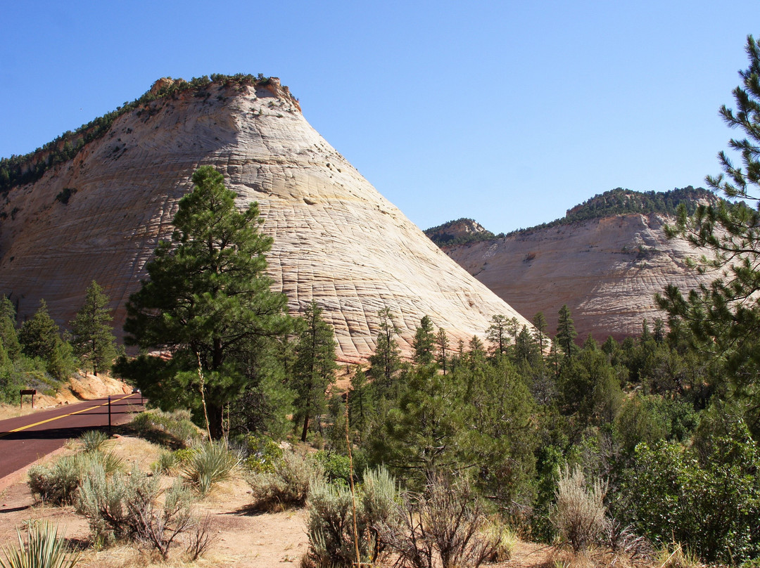 Checkerboard Mesa-锡安国家公园必去景点
