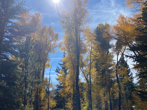 Blue River Trail-银座必去景点