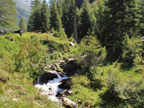 Rio di Valtina-San Leonardo in Passiria必去景点