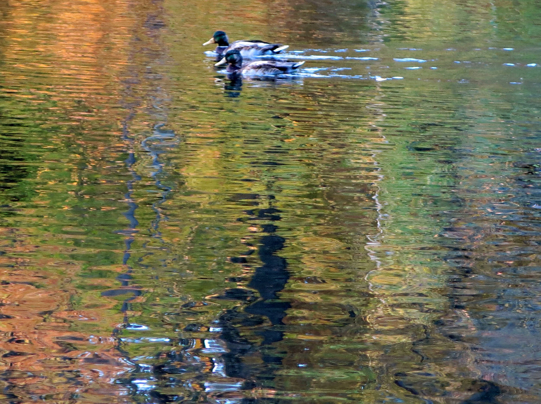 Beach on Shhelokovskiy Khutor-下诺夫哥罗德必去景点