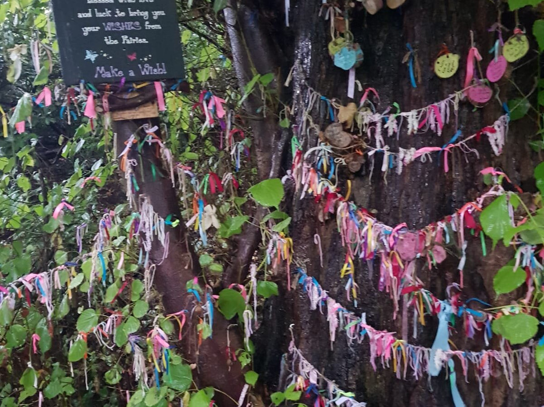 The Galgorm Castle Fairy Trail-Ballymena必去景点