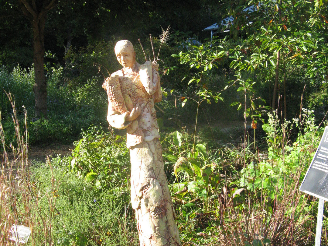 North Carolina Botanical Garden-教堂山必去景点