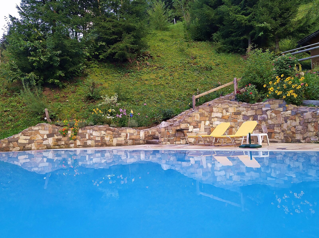 Wellnesshotel Mitterwirt主图