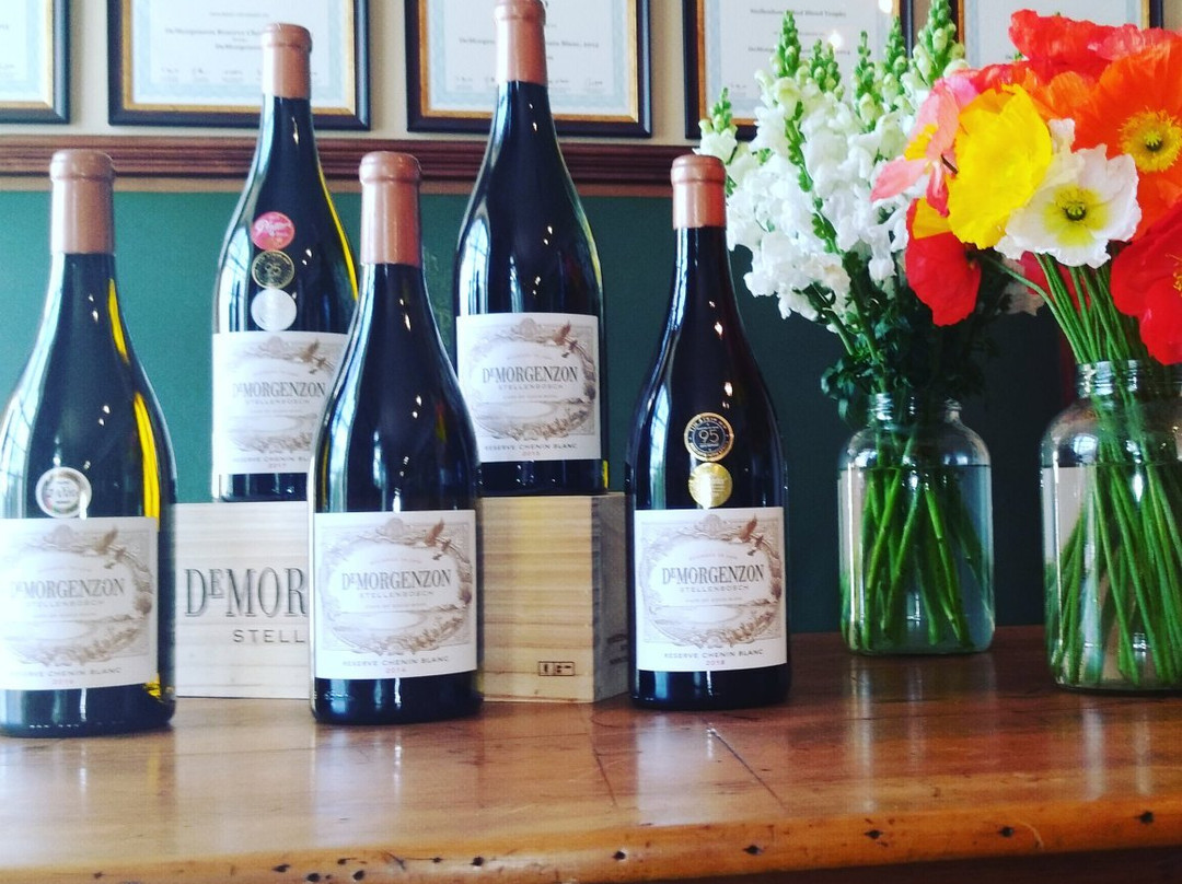 DeMorgenzon Winery-斯泰伦博斯必去景点