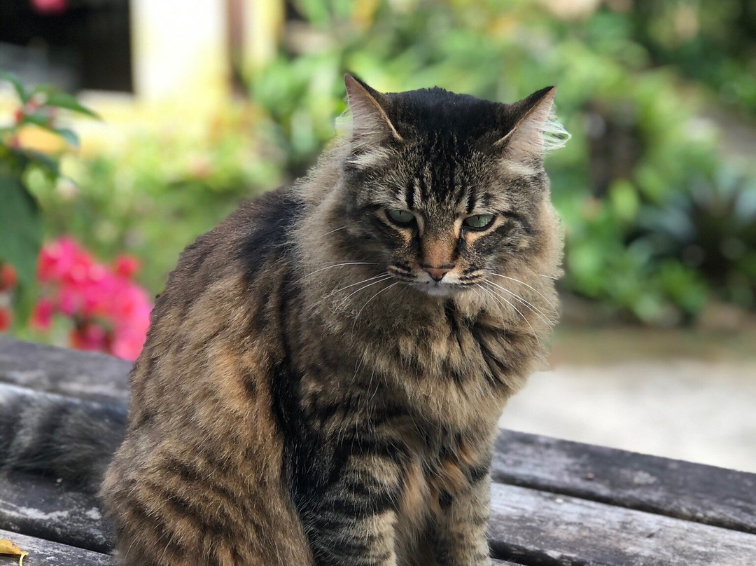 Pousada Riacho Doce主图