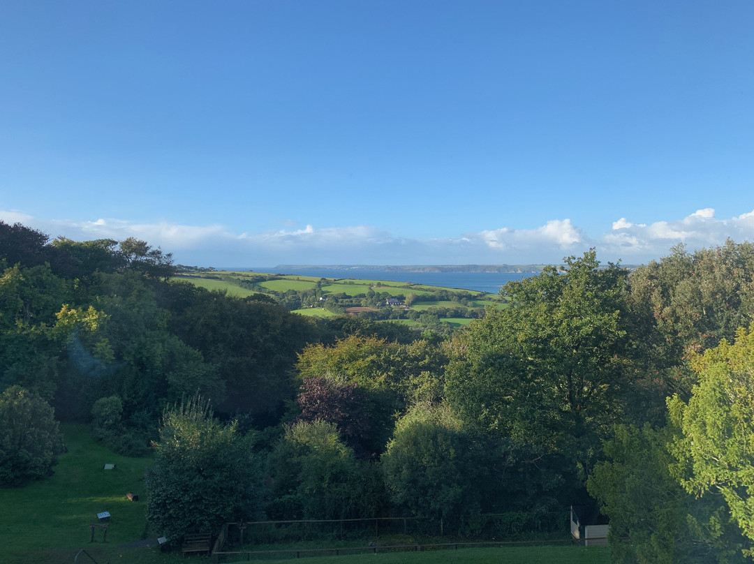 Trenython Manor主图