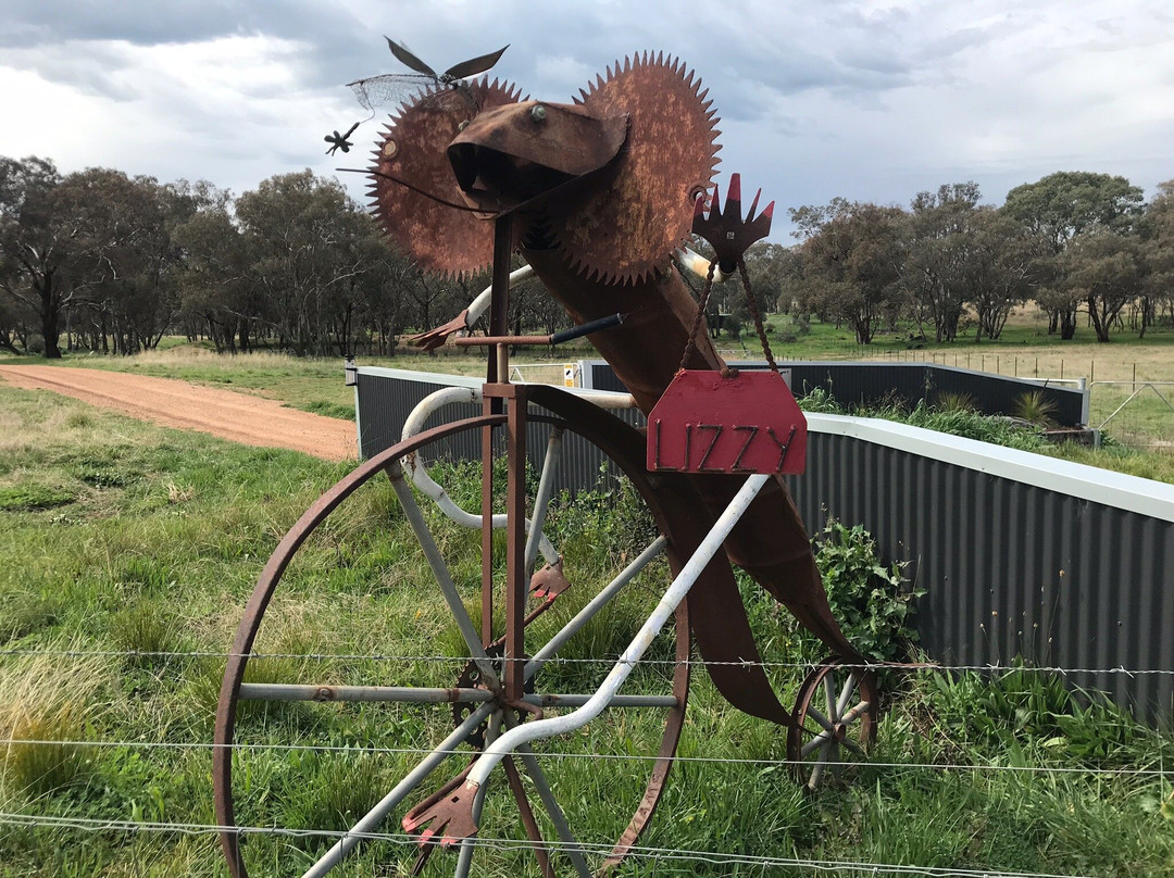 Animals on Bikes-Molong必去景点