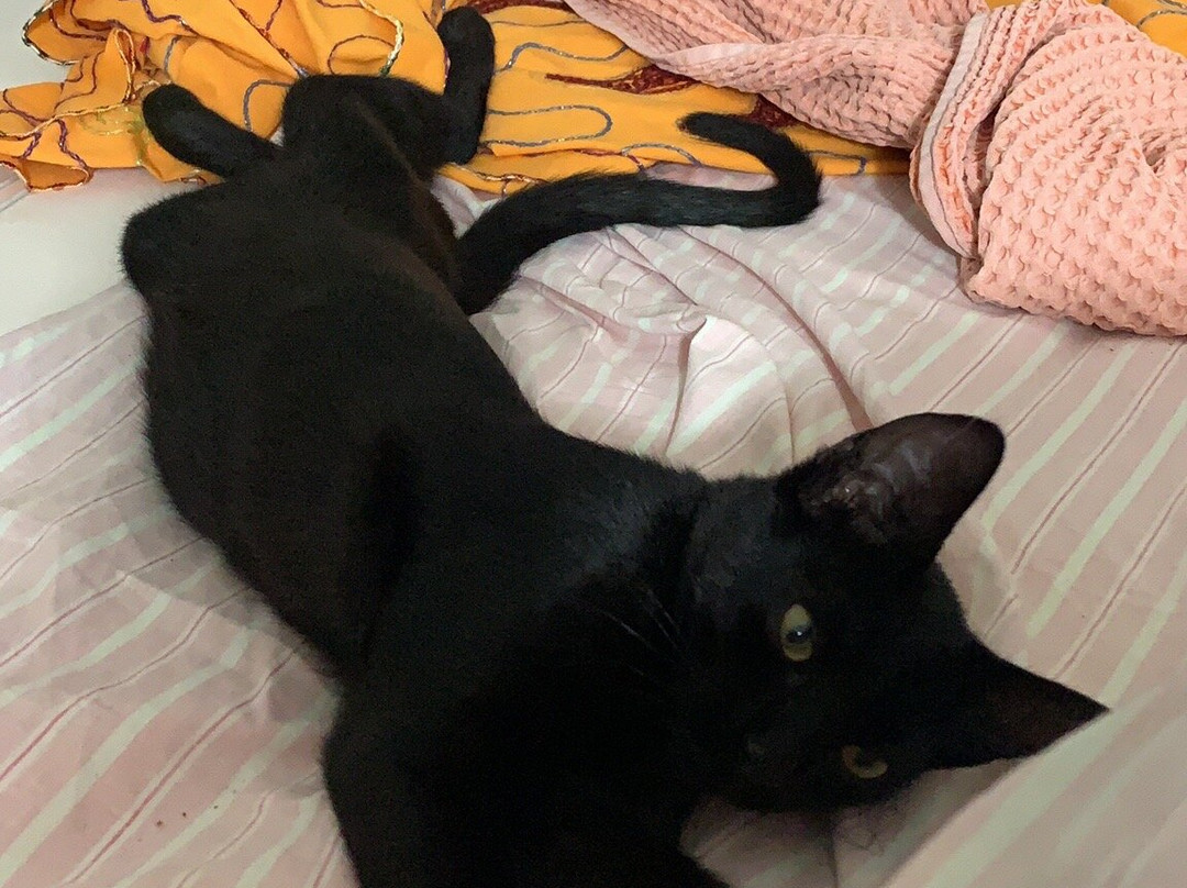 Entu Beach Bar-Castiadas必去景点