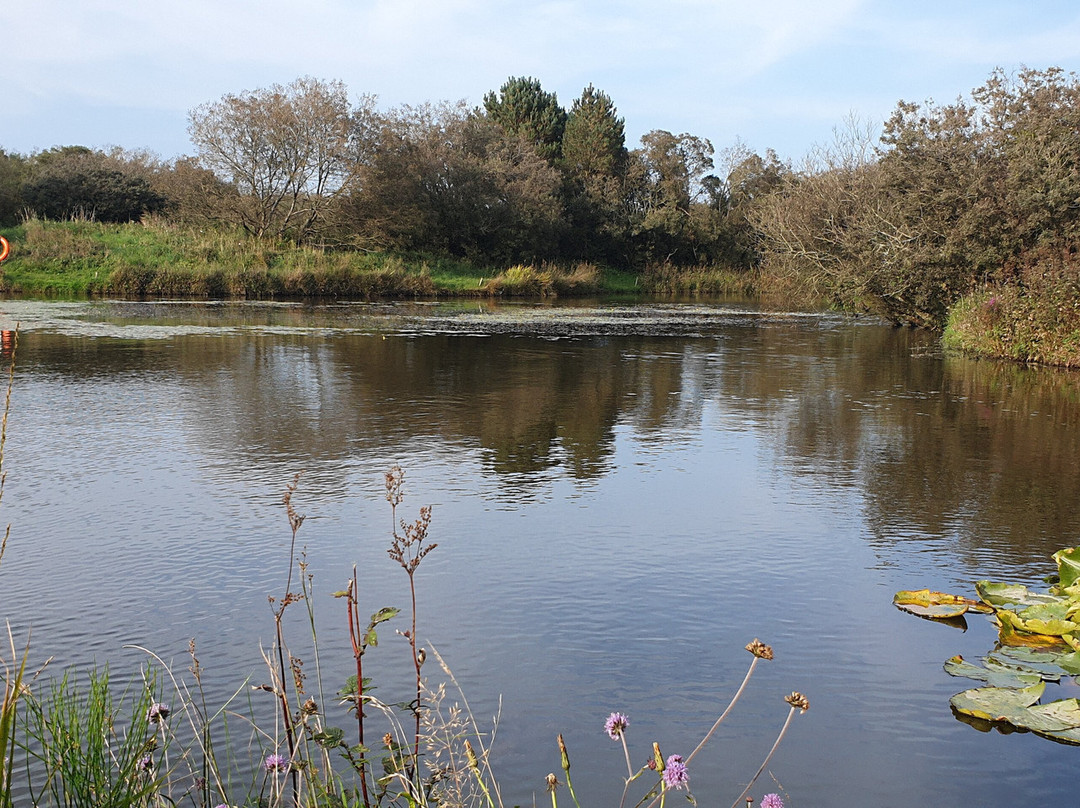 Yet-Y-Gors Campsite and Fishery Fishguard-Dwrbach必去景点